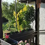 Holiday home 'am Rosenhag'