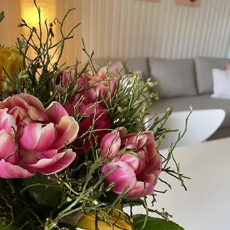 Tatil Evi 'am Rosenhag' Berlin